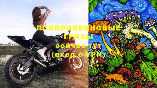 стаф Баксан